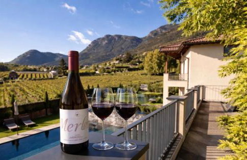 Weingut Gasshof- Panorama Pool in den Weinbergen - Foto 6