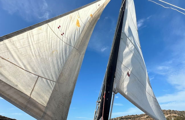 Paradise Gumusluk - Photo 42