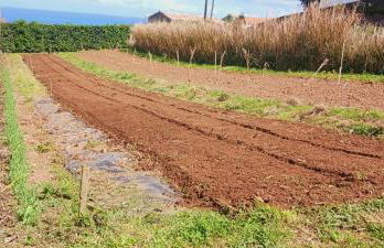 Casa L&M - Refúgio com Horta Biológica Certificada - Foto 50