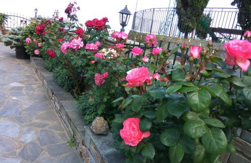 Guesthouse Papagiannopoulou - Foto 30