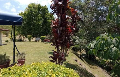 Sitio das Corujas - Photo 8