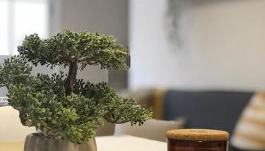 Vivienda vacacional Las Cañas - Foto 4