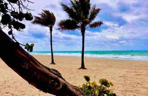 Efficiency 2 on water Las Olas, beach and free kayaks - Foto 16