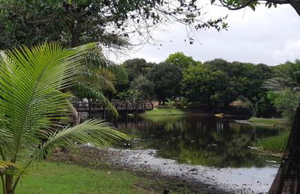 Itacimirim - Quinta das Lagoas Reserva - Photo 35