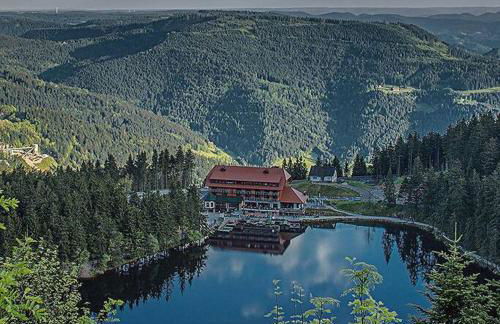 Ferienwohnung, Fischerbach im Kinzigtal - Foto 22
