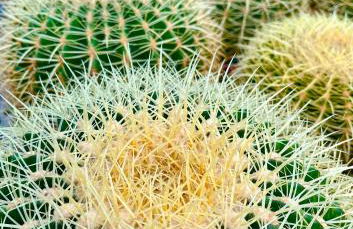 "Indaloo" apartment for couples, Para parejas solamente, EXCEPTIONAL! Vera Playa, Vera Costa, 200 m from the Las Marinas beach - Foto 68