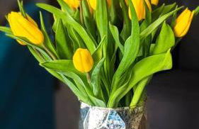 Gemütliches Apartment in Neuwied - Photo 13