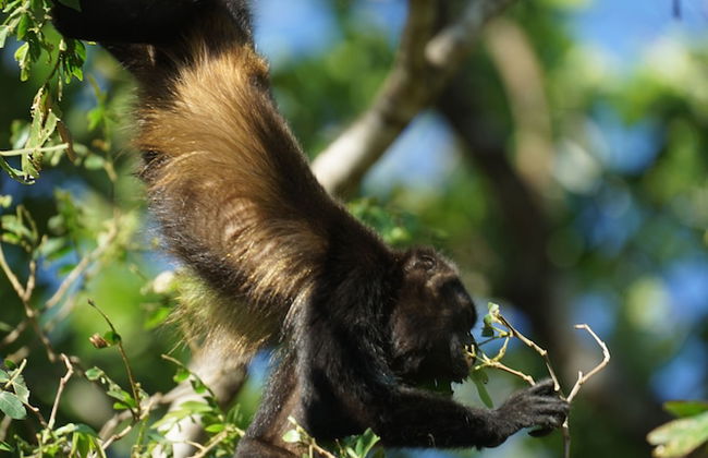 Villas Welcome to Heaven - Foto 71