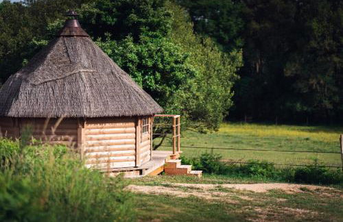 Dihan Evasion - Foto 21