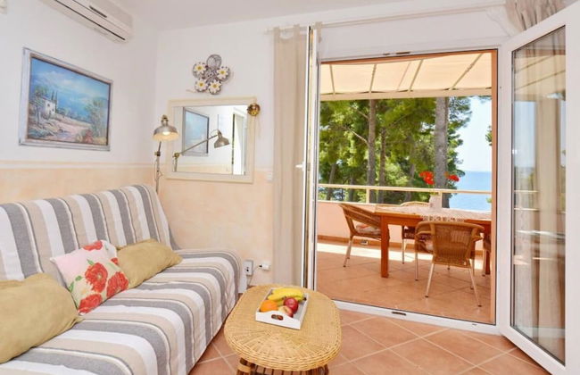 Dino - Gorgeous Garden - SA1 Zavala - Photo 9