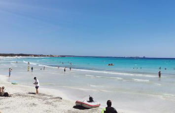 El Paraíso 22 - Photo 15