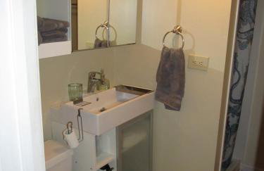 Cozy Vintage Chicago Apartment near Downtown - Foto 4