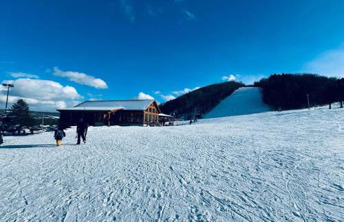 Paradise Island escape Riverfront in Clay, NY - Foto 58