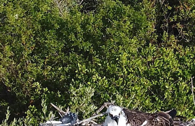 Mayan Villas Hotel - Foto 57