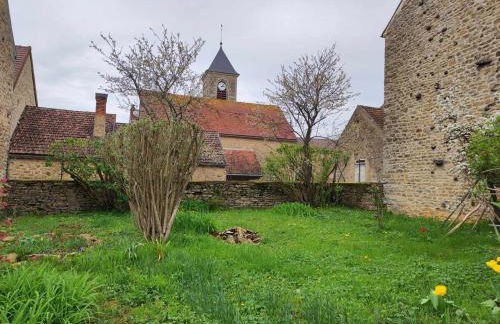 La glycine - Foto 19