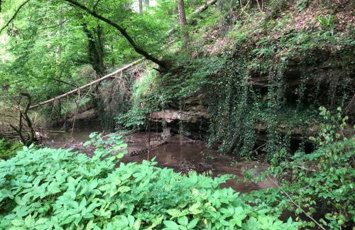 Ferienwohnung am Pferdemarkt - Foto 73