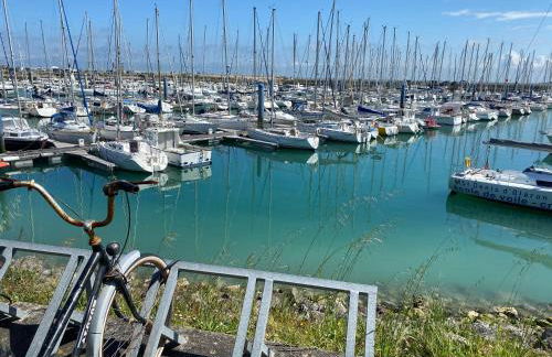 La Fleur des Marais - Maison tout confort au calme, grand jardin & balançoire - Foto 47