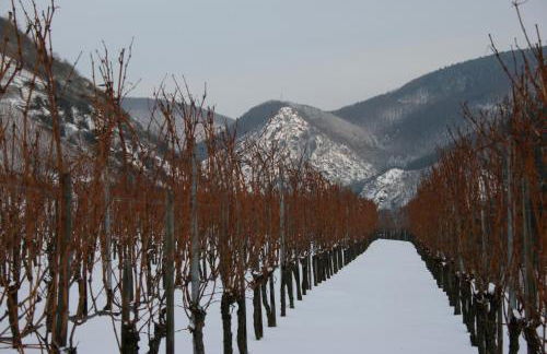 Witts Home from Home - Foto 41