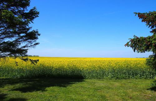 Gut-Rattelvitz-Parterre-A-hochwertig-Sauna-Kamin-eTankstelle-Spielscheune-15-000qm-Parkland - Foto 60