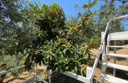 I Giardini Di Margius - Foto 10