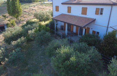 Agriturismo Ca' Belluccio - Foto 38