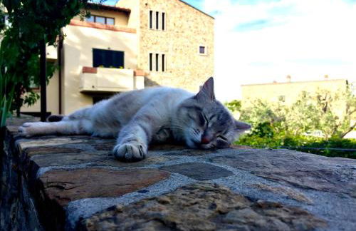 La Compagnia del Chianti - Foto 11