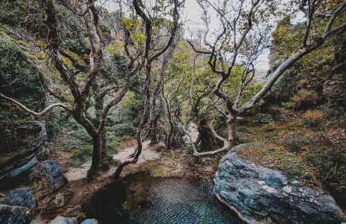 Sirines Apartments - Photo 11