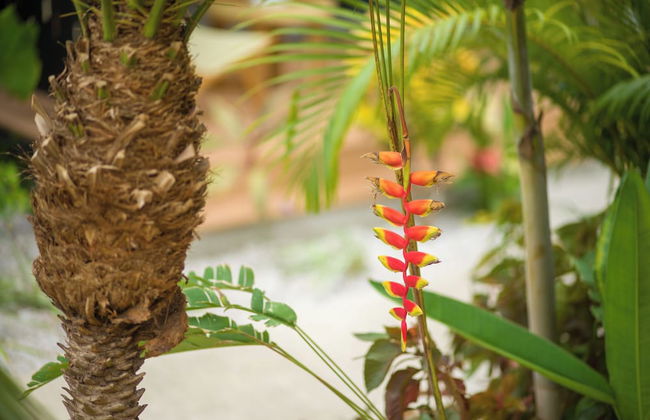 1 Favela Chic Tamarindo - Adults Only Bungalow - Foto 27