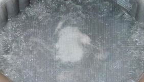 Jacuzzi avec vue sur la rivière l'Yerres - Foto 4