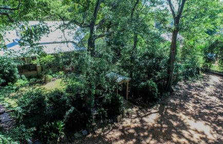 Firefly Garden - Foto 45