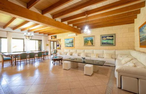 El Bosque Candy - Foto 16