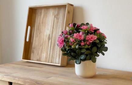 Ferienhaus James - Foto 8