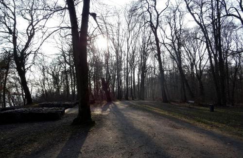 Ferienwohnung Neubrandenburg-Broda - Ruhe und mehr - Foto 26