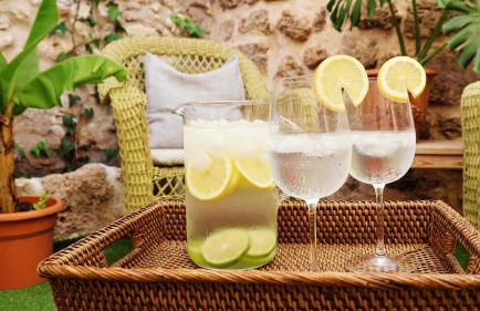 La Casita en el Patio - Photo 13