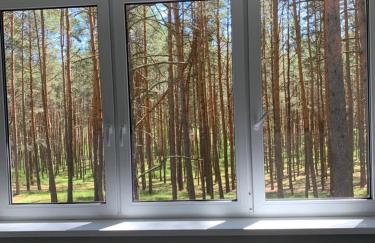 Domek wypoczynkowy w lesie nad jeziorem - Foto 5