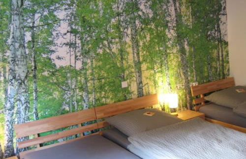 Ferienwohnung BODENSEE , Pension Wauri - Foto 34