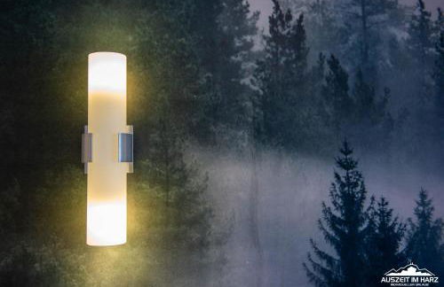 Auszeit im Harz Haus 1 Wohnung Feuerstein - Foto 11