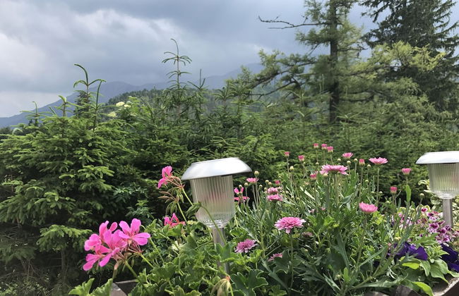 Ferienwohnungen Mamauwiese - Foto 78