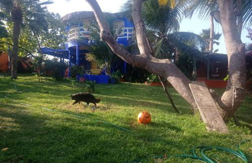 Beautiful house 5 minutes on foot to centre, Wi-Fi, parking, kitchen - Foto 45