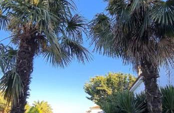 Antissa House in Carpe Diem Villas and Houses - Photo 18