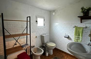 Sola Costeiro - Foto 12