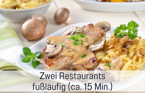 Fewo Herzgrün direkt an Wanderwegen mit traumhafter Aussicht Sauna E-Ladestation - Foto 36