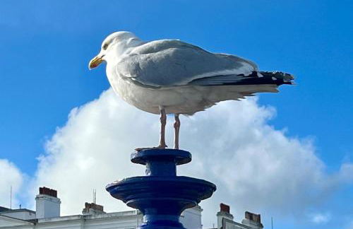 "The Parlour" Seafront Apartment - Foto 8