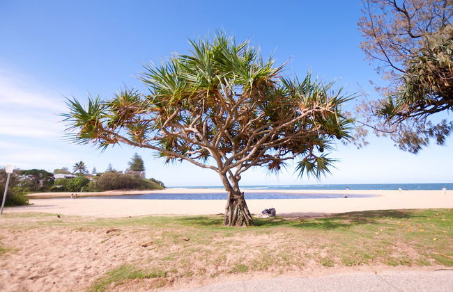 Raintrees Resort - Foto 65