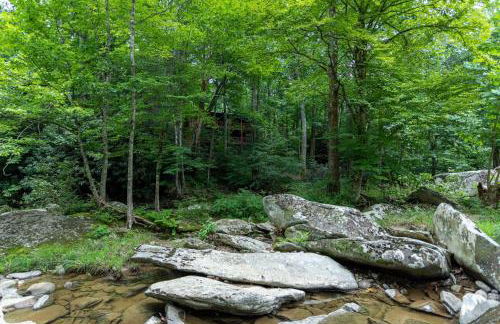 Draggin Fly - Foto 44