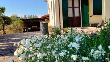 Casa Sandra - Photo 2, Garden