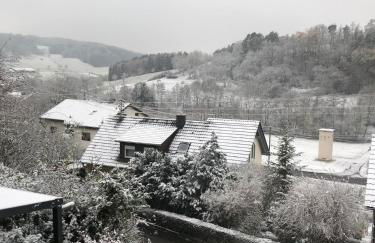 Einliegerwohnung in Gissigheim - Foto 40