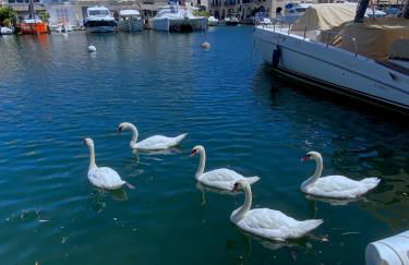 Maison de pêcheur Strelitzia amarrage 3,8m par 16m - Foto 29