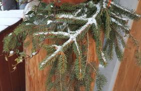 Casa Fiocco di neve - Foto 15