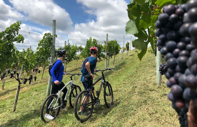 Tour de bicicleta pelos vinhedos da vinícola Villaggio Bassetti com degustação - Foto 6